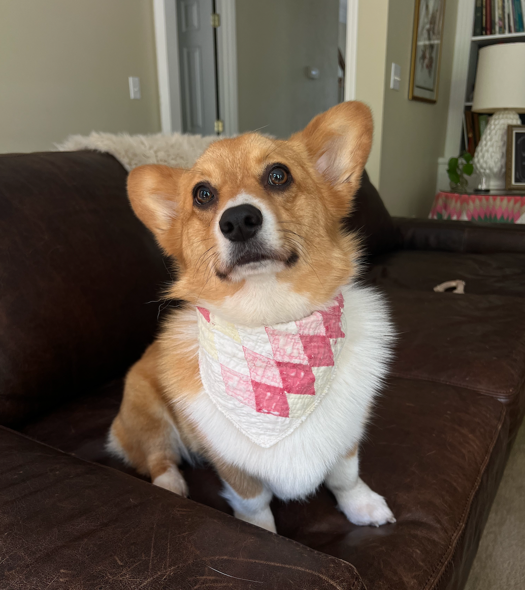 Quilt Scrap Neck Kerchief - Lone Star